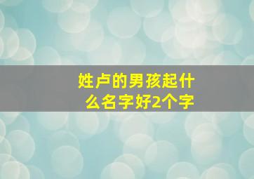 姓卢的男孩起什么名字好2个字