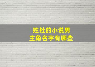 姓杜的小说男主角名字有哪些