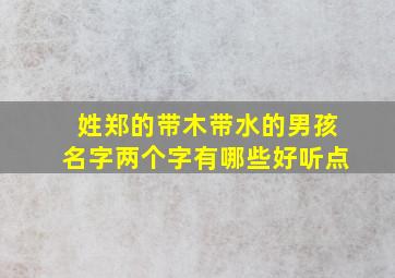 姓郑的带木带水的男孩名字两个字有哪些好听点