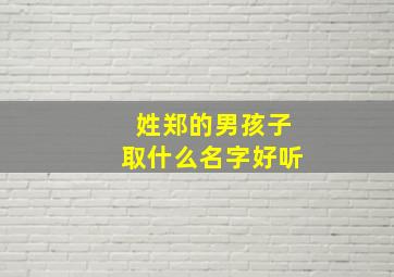 姓郑的男孩子取什么名字好听