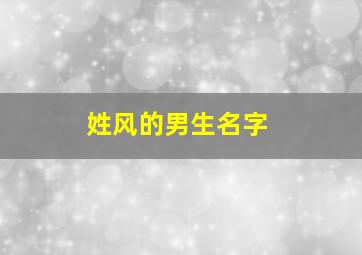 姓风的男生名字