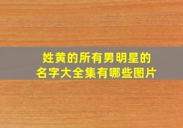 姓黄的所有男明星的名字大全集有哪些图片