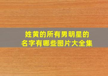 姓黄的所有男明星的名字有哪些图片大全集