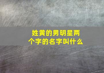 姓黄的男明星两个字的名字叫什么