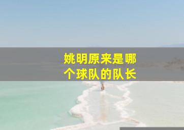 姚明原来是哪个球队的队长