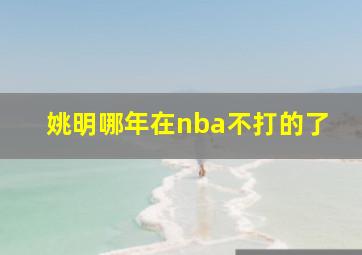 姚明哪年在nba不打的了