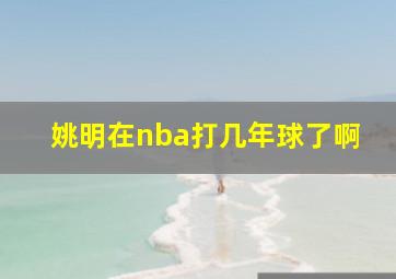 姚明在nba打几年球了啊