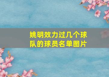 姚明效力过几个球队的球员名单图片