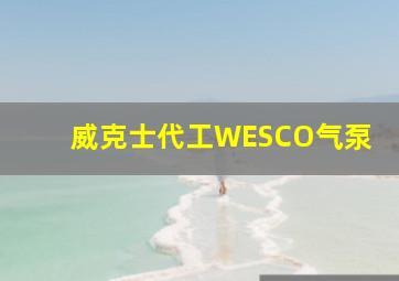 威克士代工WESCO气泵