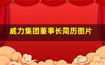 威力集团董事长简历图片