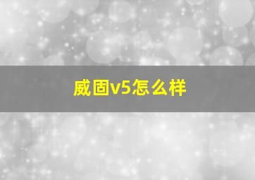 威固v5怎么样