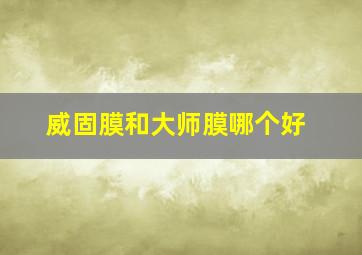 威固膜和大师膜哪个好