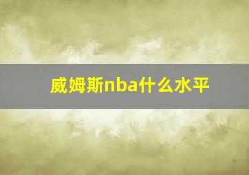 威姆斯nba什么水平