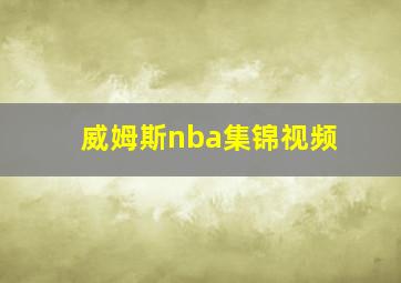 威姆斯nba集锦视频