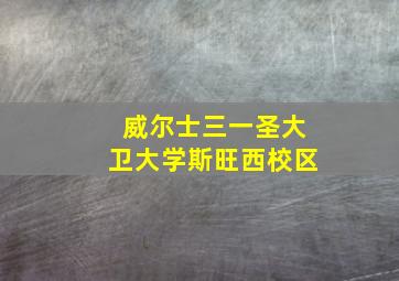 威尔士三一圣大卫大学斯旺西校区