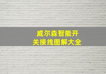 威尔森智能开关接线图解大全