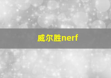 威尔胜nerf