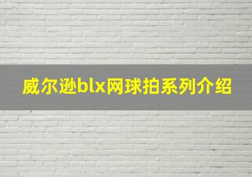 威尔逊blx网球拍系列介绍