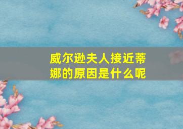 威尔逊夫人接近蒂娜的原因是什么呢