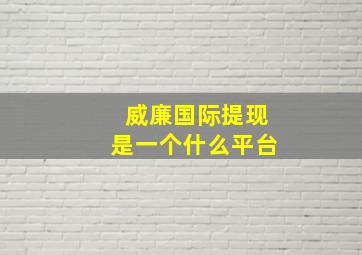 威廉国际提现是一个什么平台