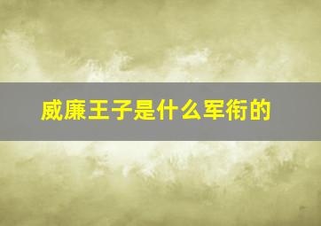 威廉王子是什么军衔的