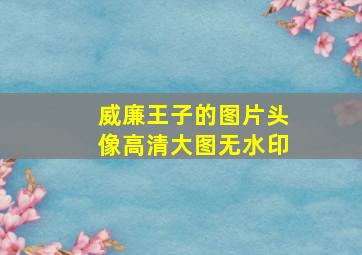 威廉王子的图片头像高清大图无水印