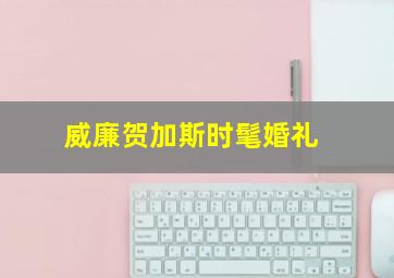 威廉贺加斯时髦婚礼