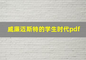 威廉迈斯特的学生时代pdf