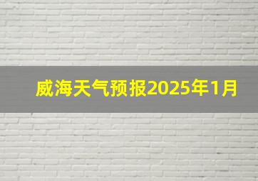 威海天气预报2025年1月