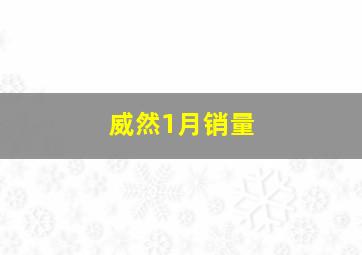 威然1月销量