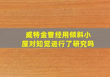 威特金曾经用倾斜小屋对知觉进行了研究吗