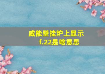 威能壁挂炉上显示f.22是啥意思