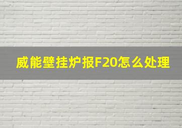 威能壁挂炉报F20怎么处理