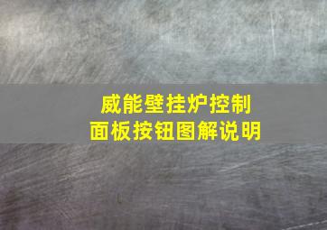 威能壁挂炉控制面板按钮图解说明