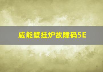 威能壁挂炉故障码5E