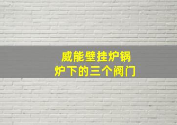 威能壁挂炉锅炉下的三个阀门