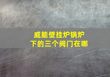 威能壁挂炉锅炉下的三个阀门在哪