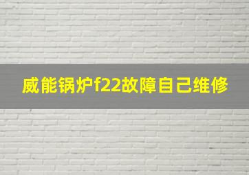 威能锅炉f22故障自己维修