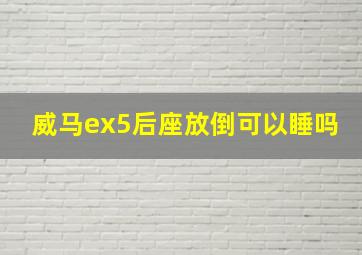 威马ex5后座放倒可以睡吗