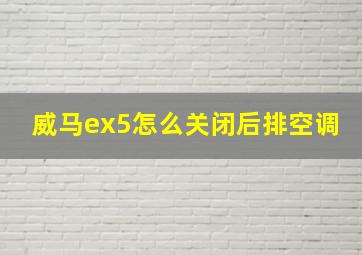 威马ex5怎么关闭后排空调