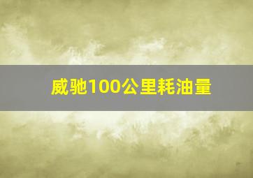 威驰100公里耗油量