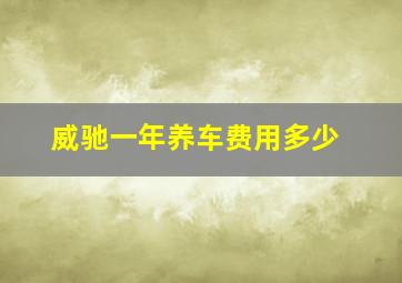 威驰一年养车费用多少