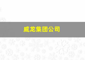 威龙集团公司