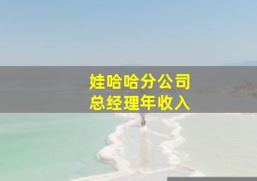 娃哈哈分公司总经理年收入