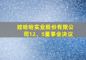 娃哈哈实业股份有限公司12、5董事会决议