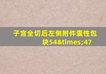 子宫全切后左侧附件囊性包块54×47