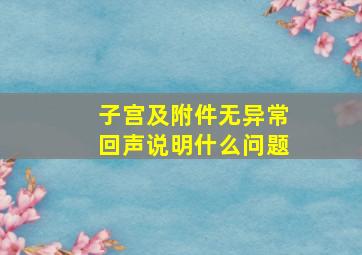 子宫及附件无异常回声说明什么问题