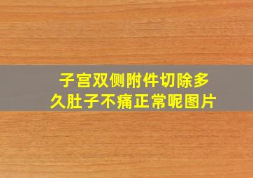 子宫双侧附件切除多久肚子不痛正常呢图片