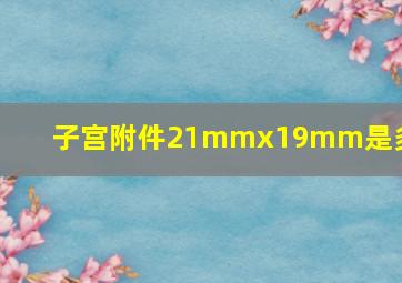 子宫附件21mmx19mm是多大