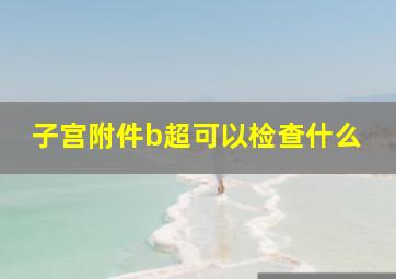 子宫附件b超可以检查什么